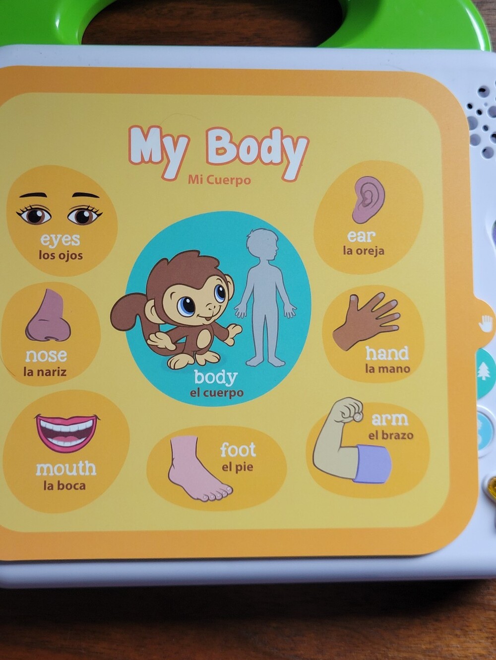 LeapFrog Words And Animals Learning Books (2) - Picture 8 of 15